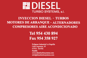 Logo y Marcaje Diesel Turbo Systems