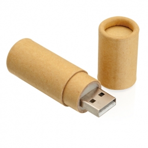 Memoria USB de cartón reciclado de 8 Gb