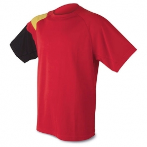 Camiseta con bandera de España dry & fresh