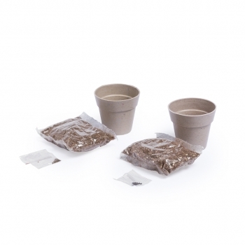 Set de 2 macetas biodegradables con semillas de menta y perejil con sustrato