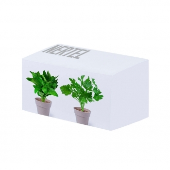 Set de 2 macetas biodegradables con semillas de menta y perejil con sustrato