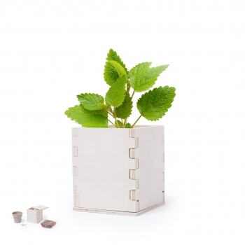 Maceta de madera con caja grabable y semillas de menta con sustrato de crecimiento