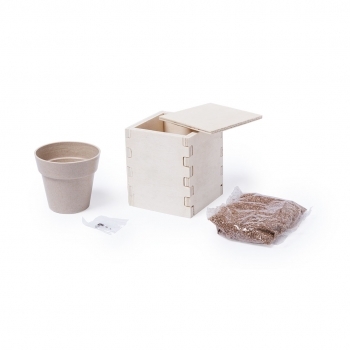 Maceta de madera con caja grabable y semillas de menta con sustrato de crecimiento