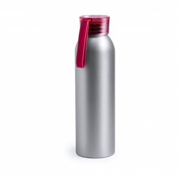 Bidón de aluminio estándar de hidratación diaria 650 ml
