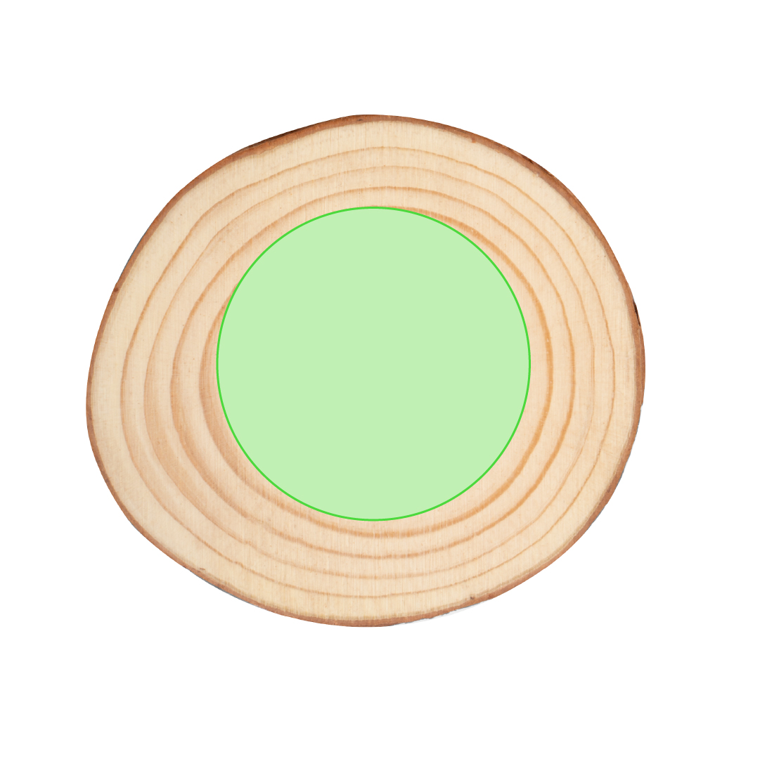 Set de posavasos de madera natural 4 piezas