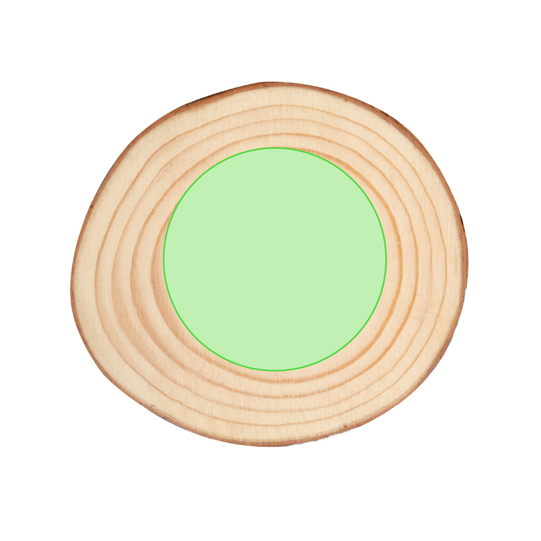 Set de posavasos de madera natural 4 piezas
