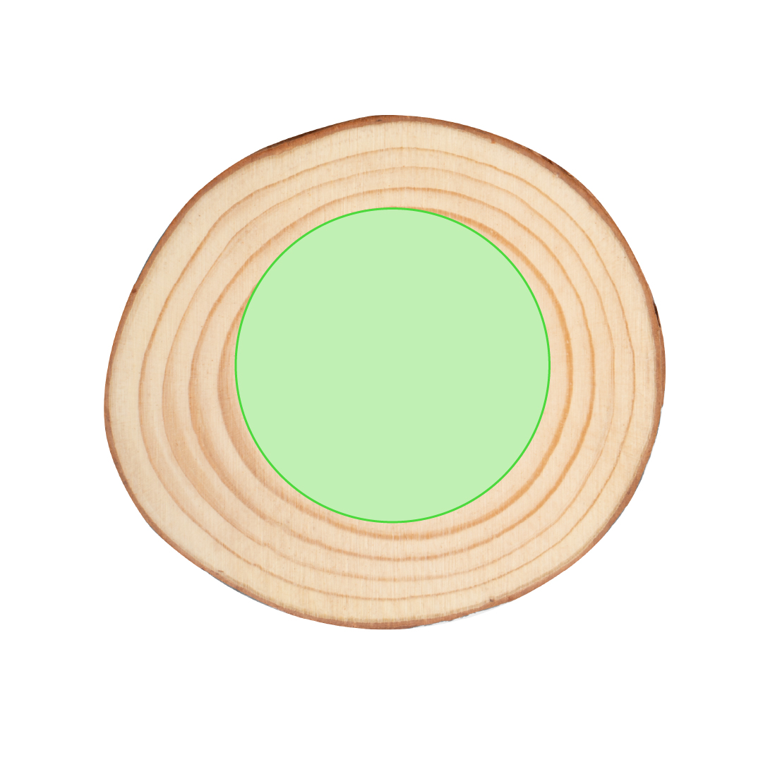 Set de posavasos de madera natural 4 piezas