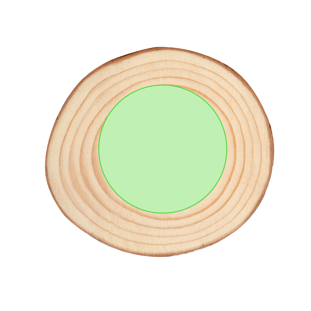 Set de posavasos de madera natural 4 piezas
