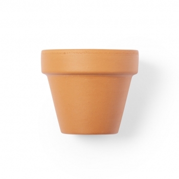 Maceta de terracota con agujero de drenaje y 5-8 semillas de petunia