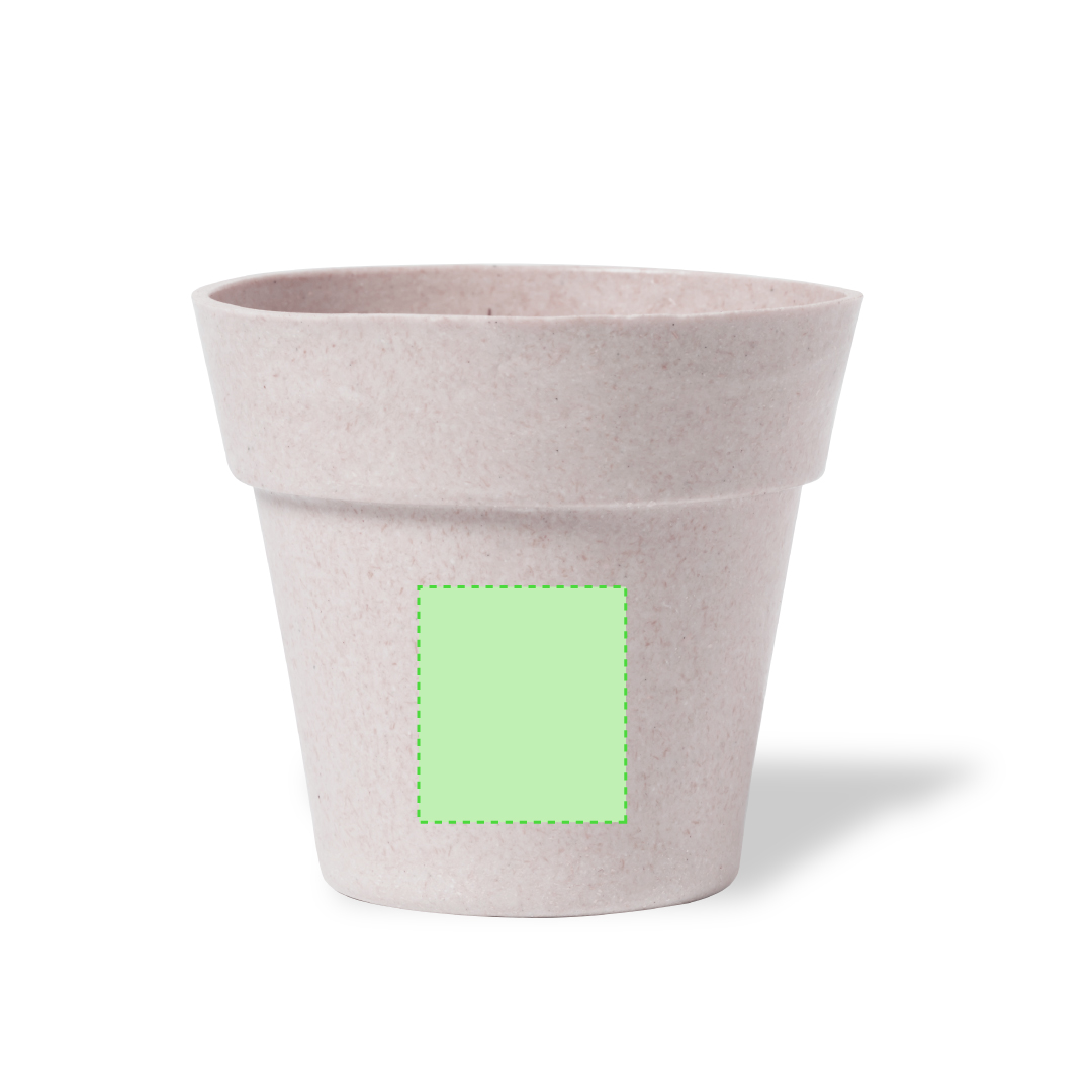 Maceta biodegradable con 5-8 semillas de girasol y pastilla de sustrato en caja kraft