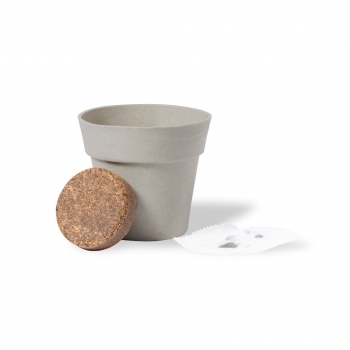 Maceta biodegradable con 5-8 semillas de girasol y pastilla de sustrato en caja kraft