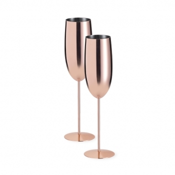 Set de 2 copas de acero inoxidable para cóctel 270 ml