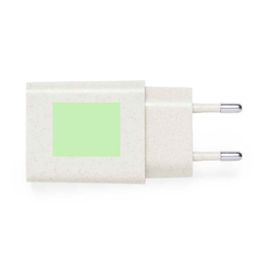 Cargador USB de carga rápida de caña de trigo/ abs con Tipo-C y USB