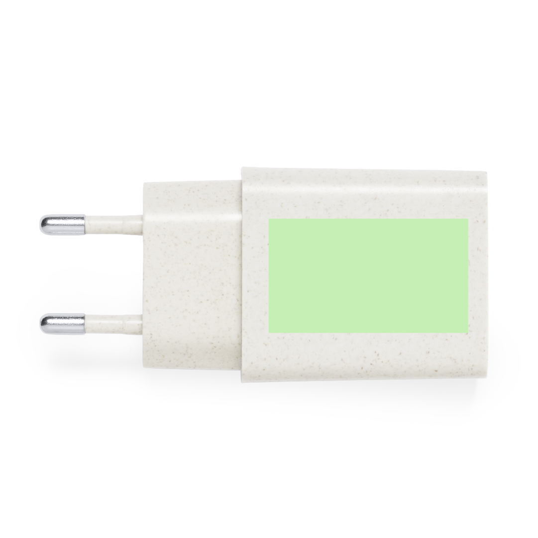 Cargador USB de carga rápida de caña de trigo/ abs con Tipo-C y USB