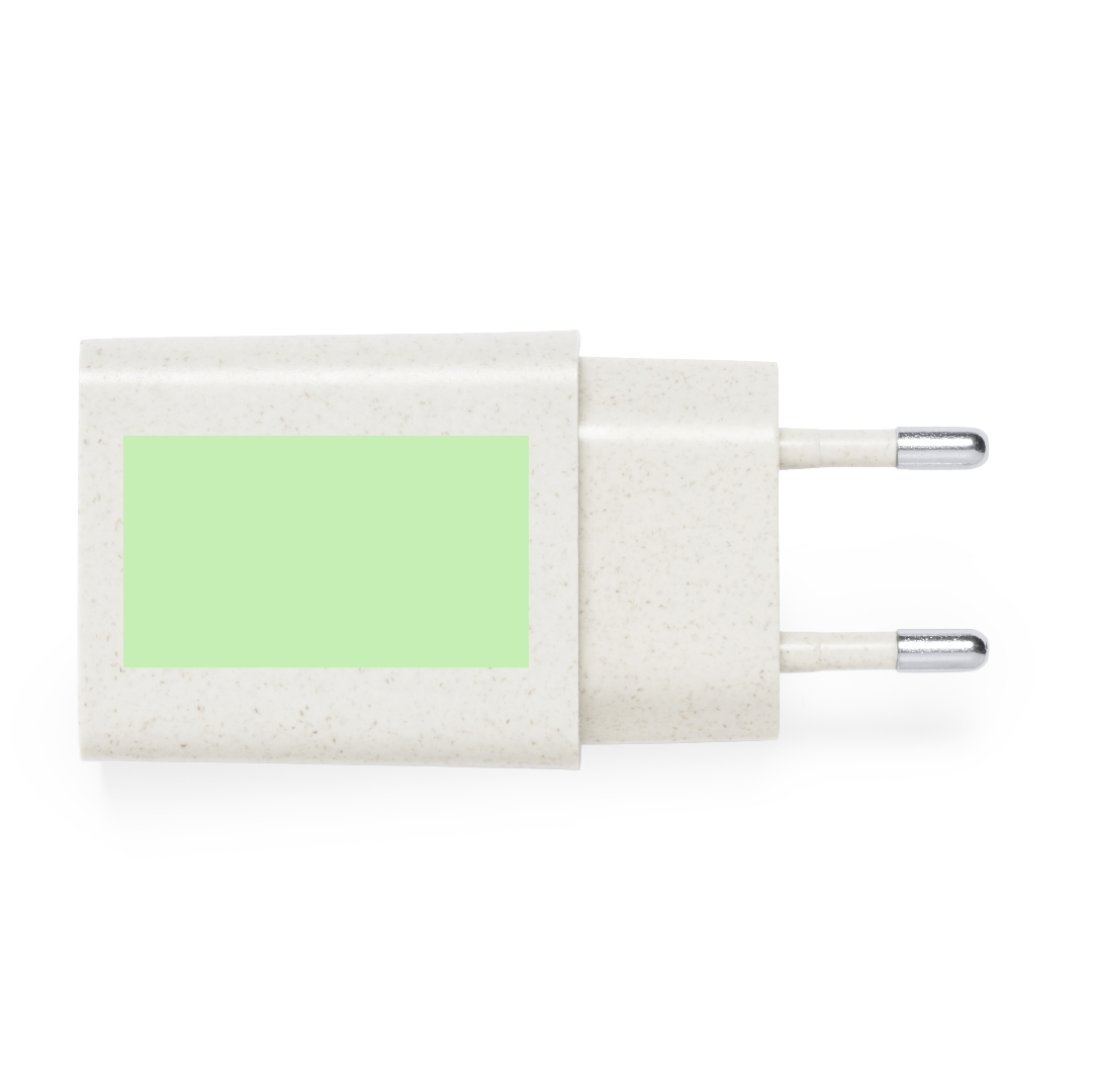 Cargador USB de carga rápida de caña de trigo/ abs con Tipo-C y USB