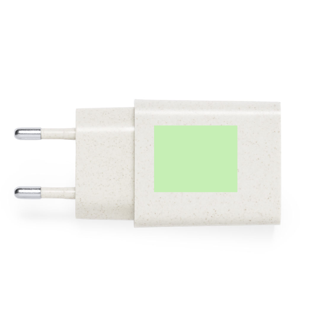 Cargador USB de carga rápida de caña de trigo/ abs con Tipo-C y USB