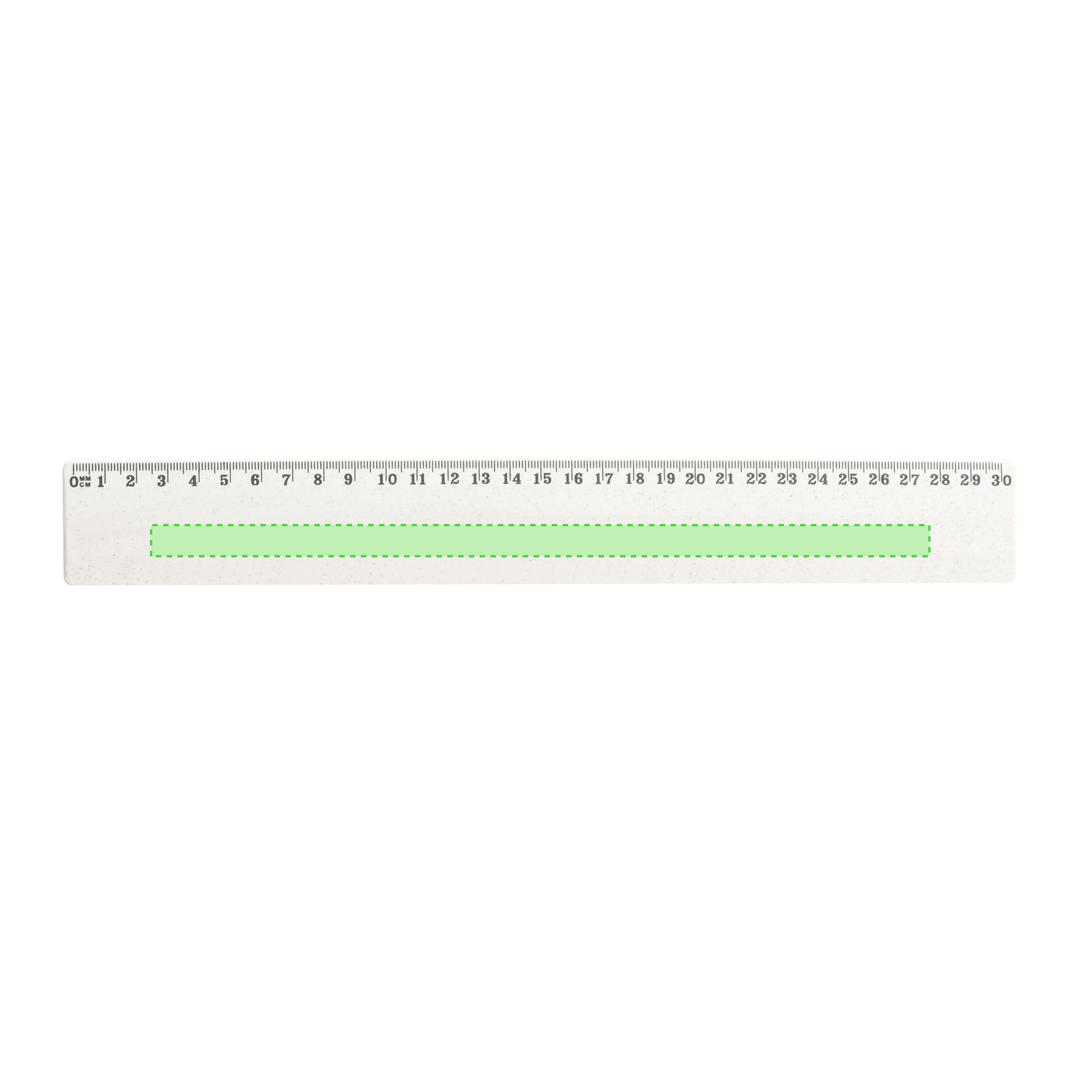 Regla de caña de trigo de 30 cm con medición doble