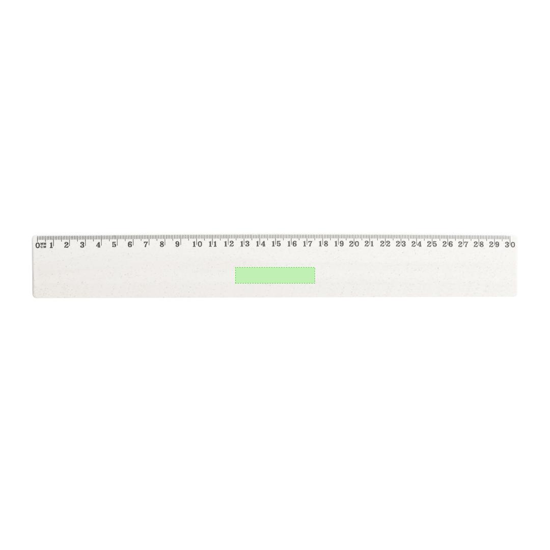 Regla de caña de trigo de 30 cm con medición doble
