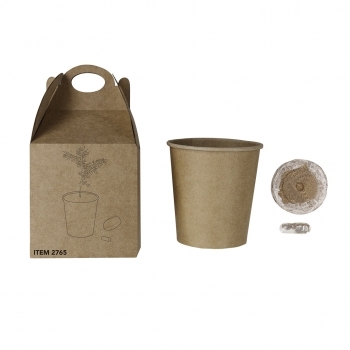 Maceta de cartón reciclado con semillas de pino y sustrato en caja kraft con asa
